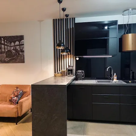 Apartament Fabrykanta