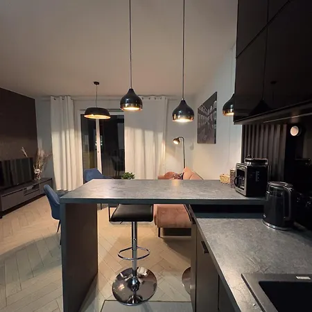 Apartament Fabrykanta Apartment