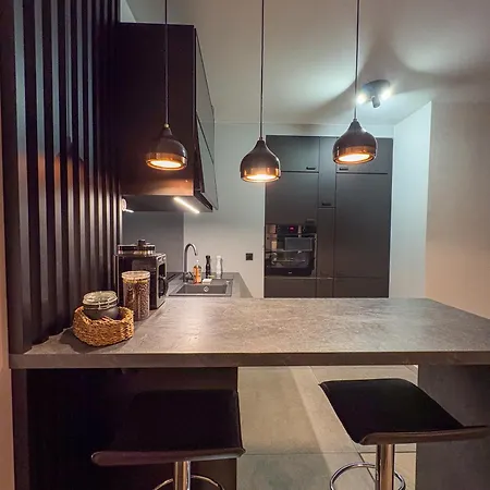 Apartament Fabrykanta Apartment